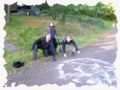 image137.jpg