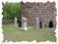pict0688.jpg