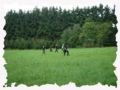andoran5__090905_bis_110905_074.jpg