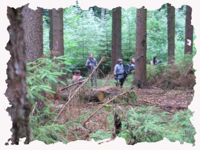 banah_078.jpg