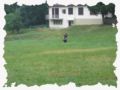 banah_031.jpg