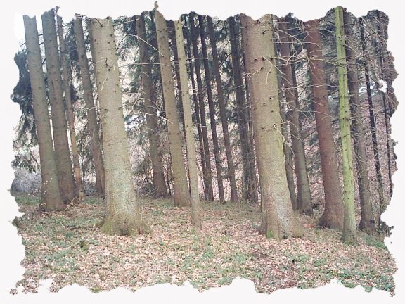 bild_002.jpg