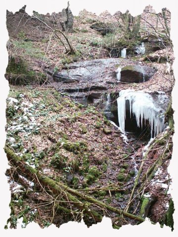 bild_003.jpg