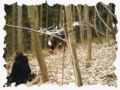 bild_021.jpg