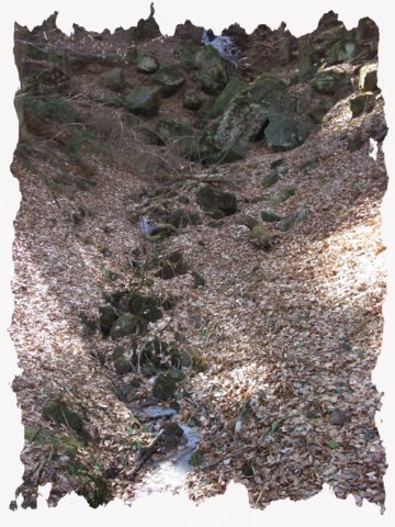 2006.03.19_larp_ostara_ii_434.jpg