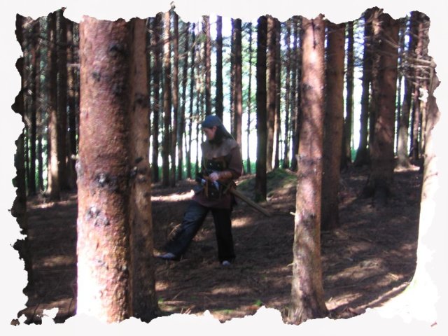 bild_021.jpg