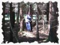 bild_033.jpg
