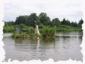 bild_090.jpg