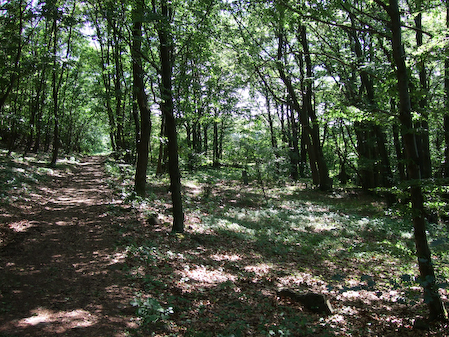 Heldentrutz_V_031