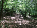 Heldentrutz_V_029