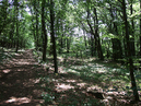Heldentrutz_V_031