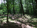 Heldentrutz_V_033