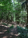 Heldentrutz_V_042